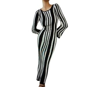 Maxi Dress Leisure Zebra Print Long Bell Sleeve Stretch Long Elegant Size 6